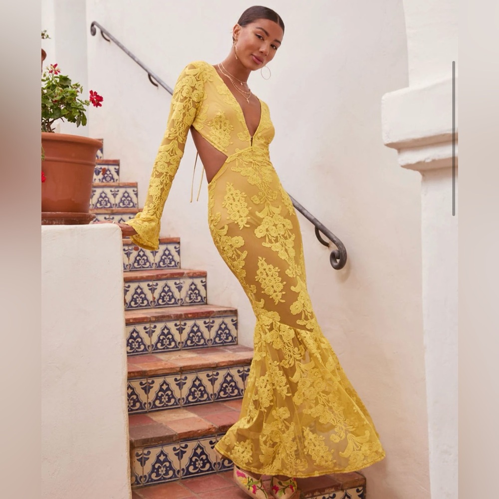 Vici Jodie Cut Out Mesh Maxi Dress